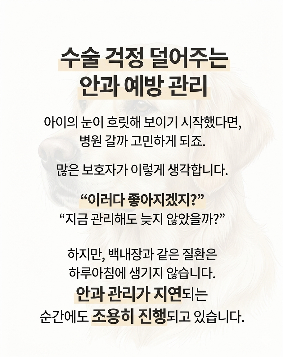 스토리4