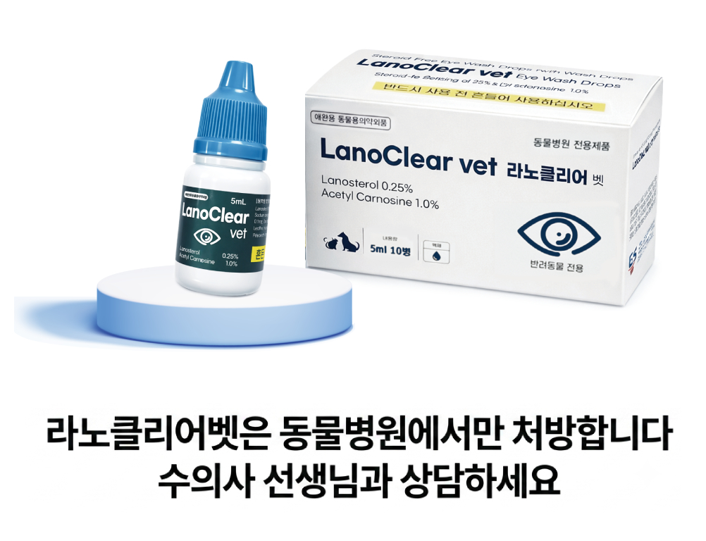 스토리6